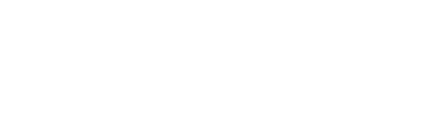 go pro